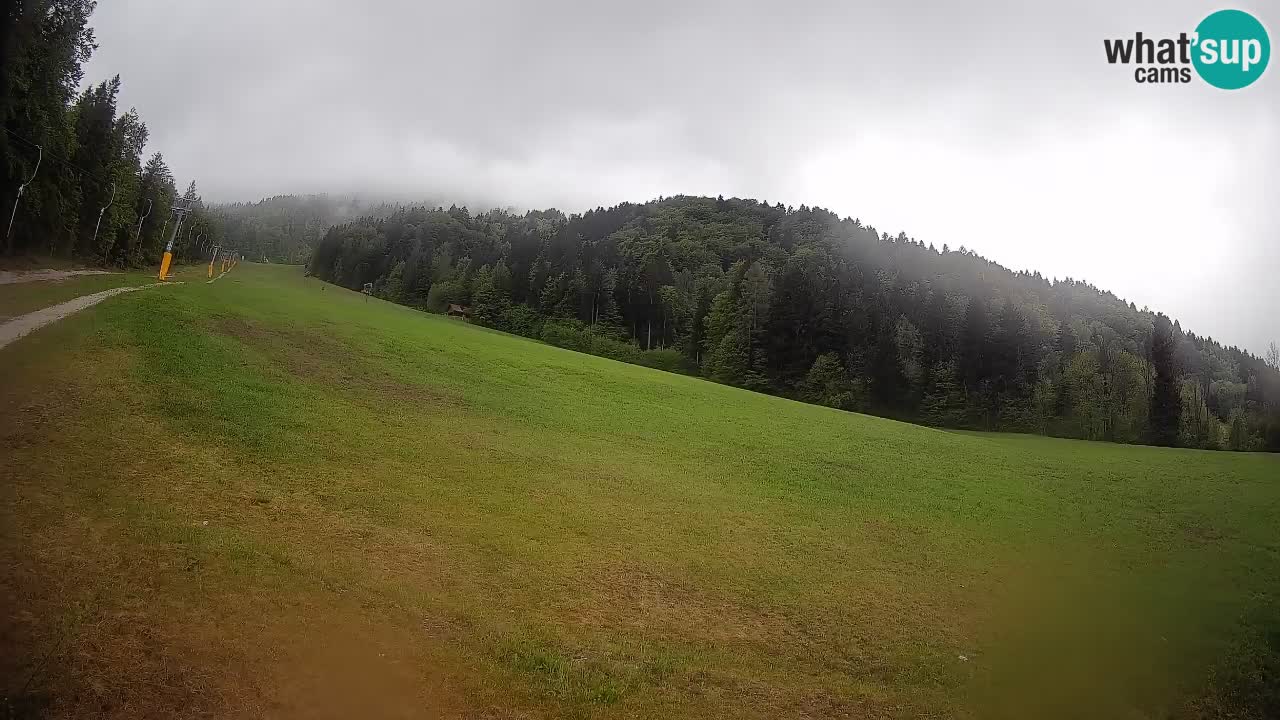 Esquí Kranjska Gora | Brsnina