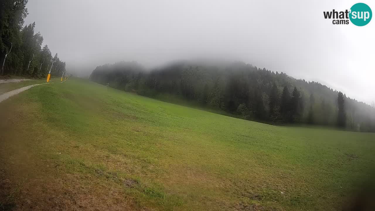Esquí Kranjska Gora | Brsnina