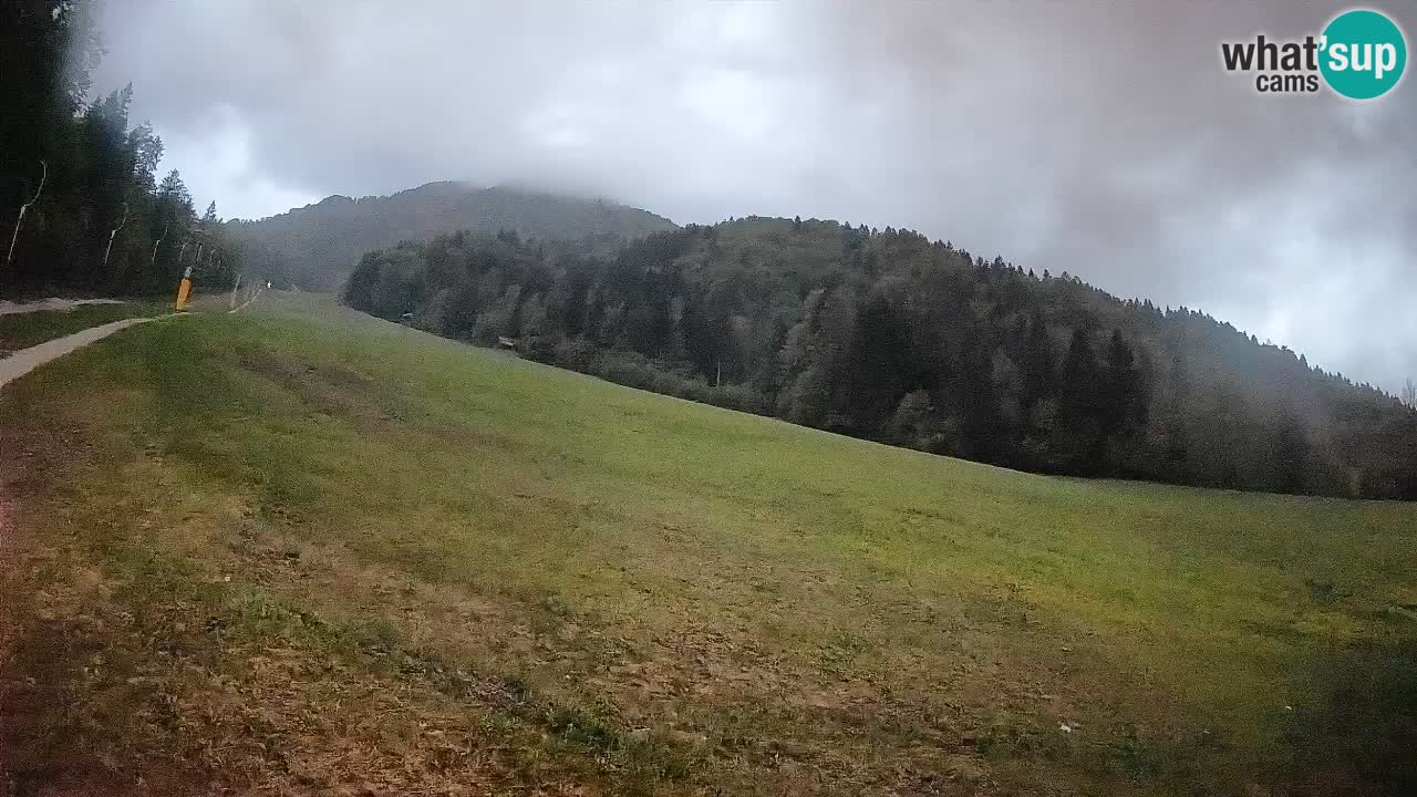 Ski Kranjska Gora | Brsnina