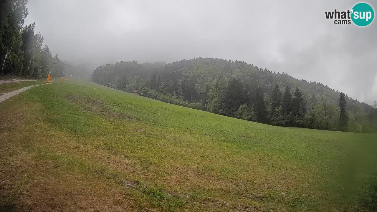 Ski Kranjska Gora | Brsnina