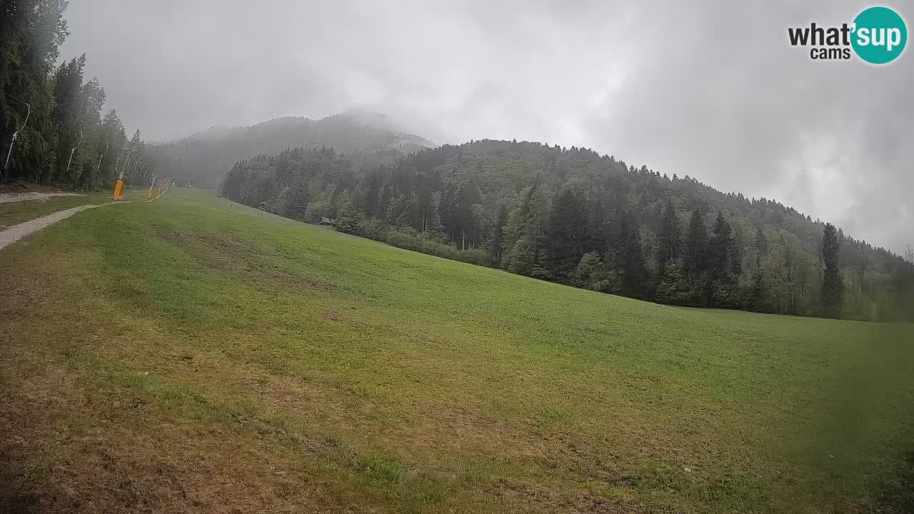 RTC Kranjska Gora | Brsnina