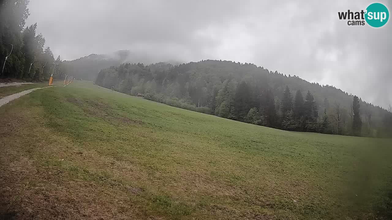Ski Kranjska Gora | Brsnina