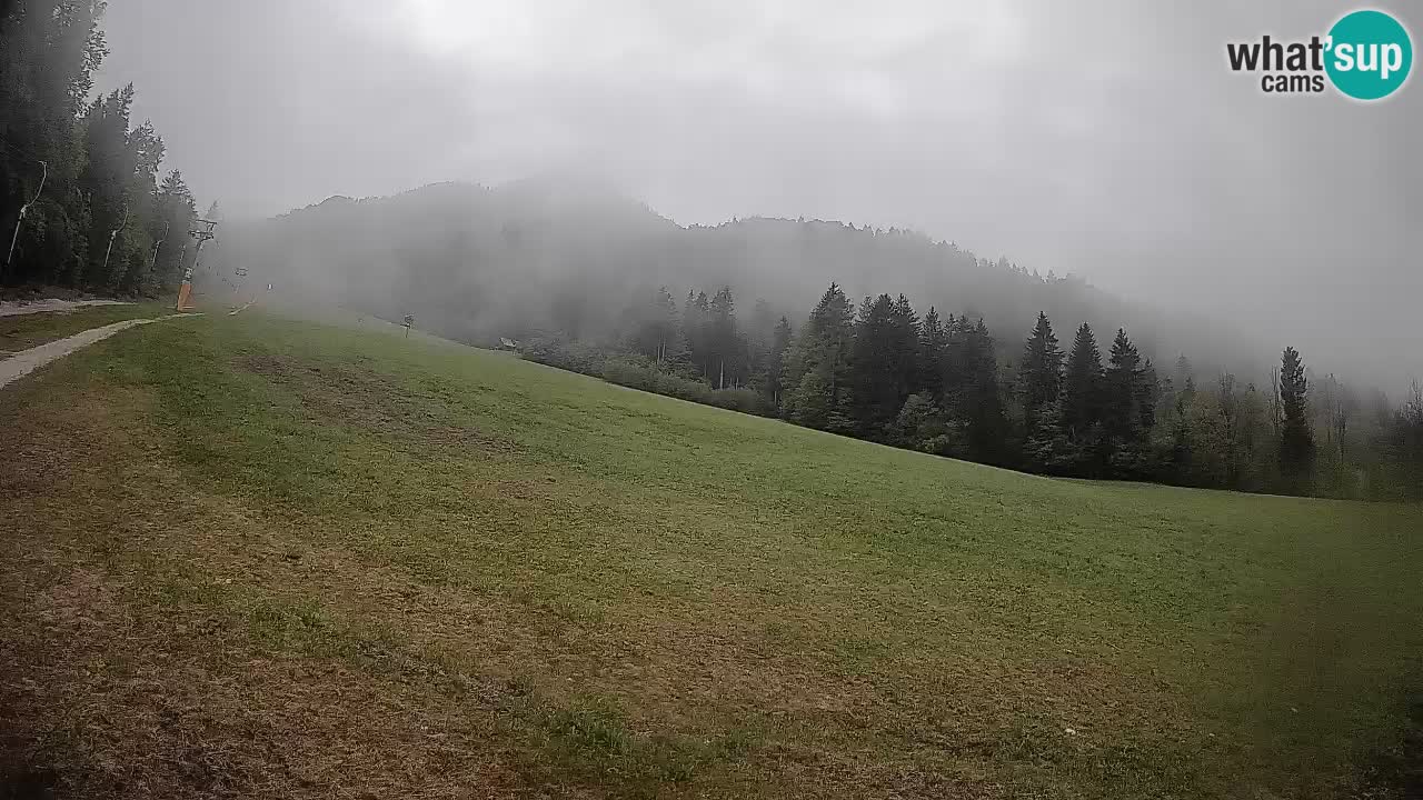 RTC Kranjska Gora | Brsnina