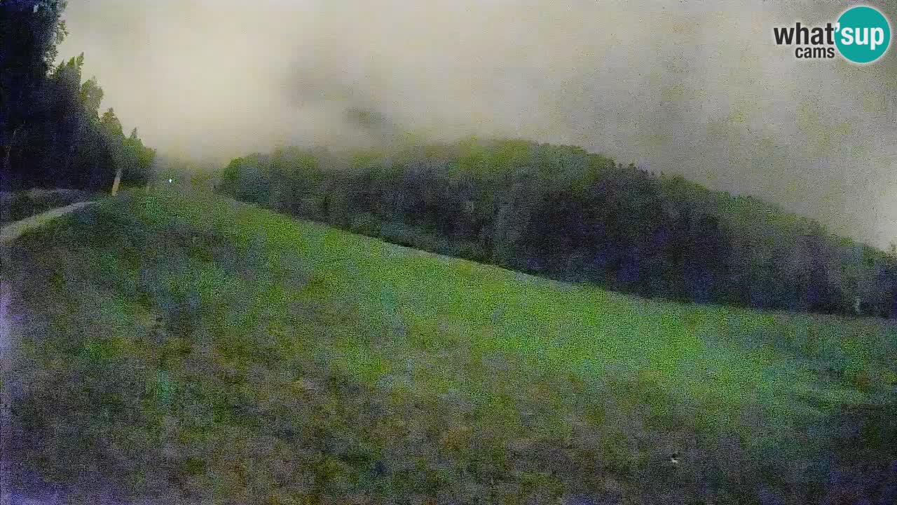 Ski Kranjska Gora | Brsnina