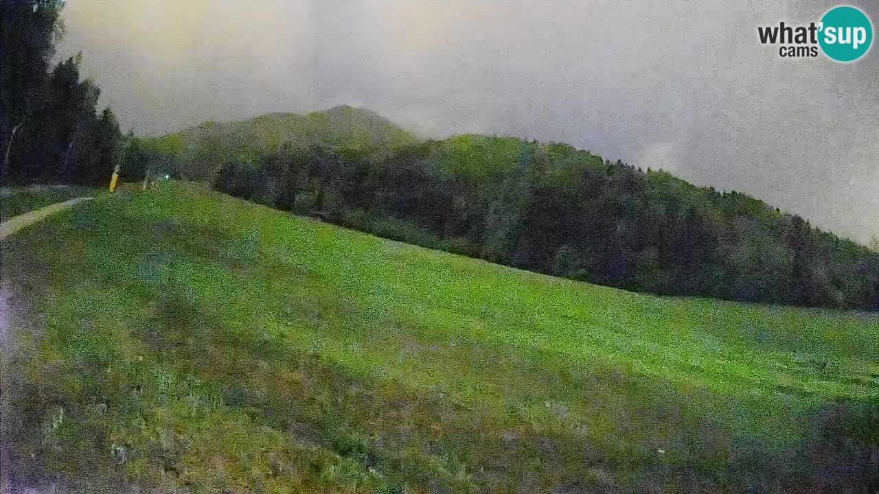 Ski Kranjska Gora | Brsnina