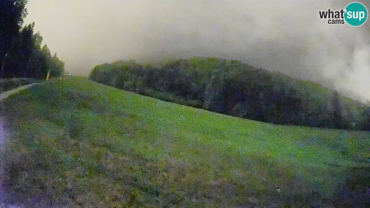 Ski Kranjska Gora | Brsnina