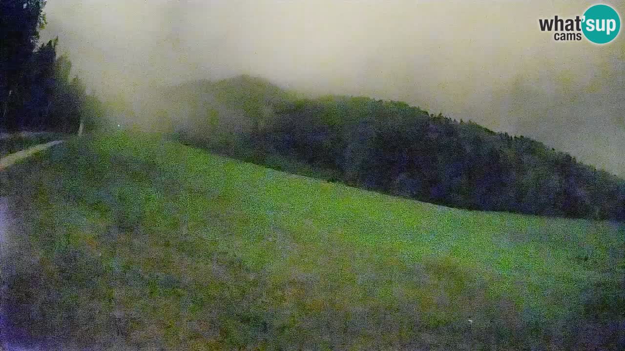 Comprensorio sciistico Kranjska Gora | Brsnina