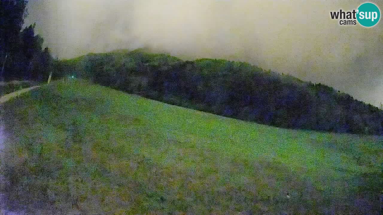 RTC Skigebiet Kranjska Gora | Brsnina