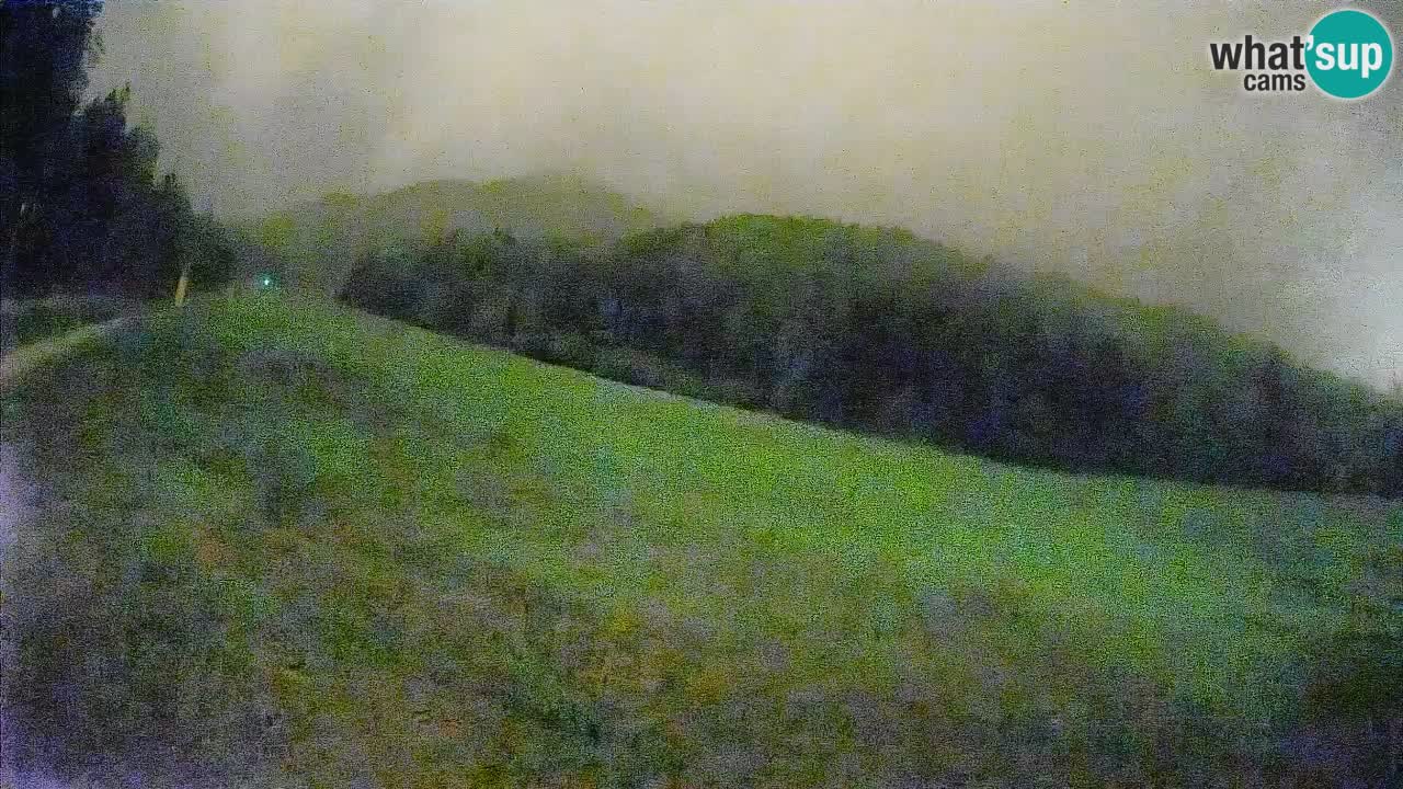 RTC Skigebiet Kranjska Gora | Brsnina