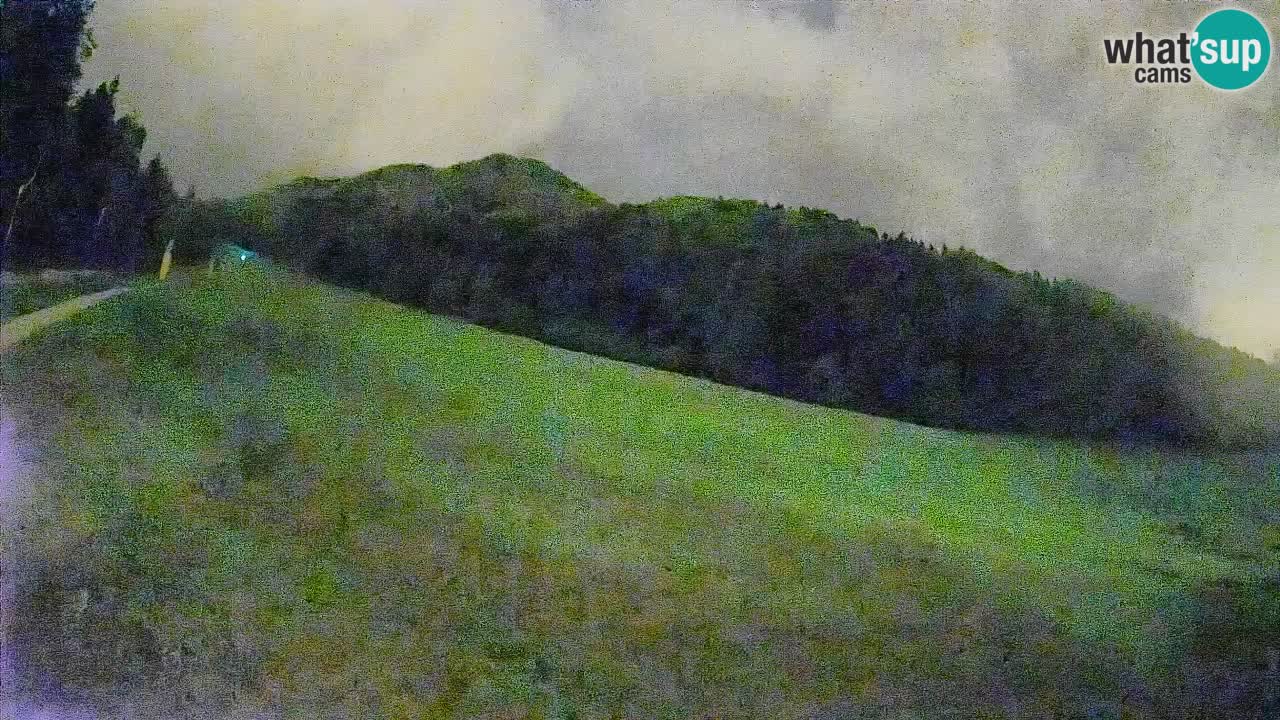 Ski Kranjska Gora | Brsnina