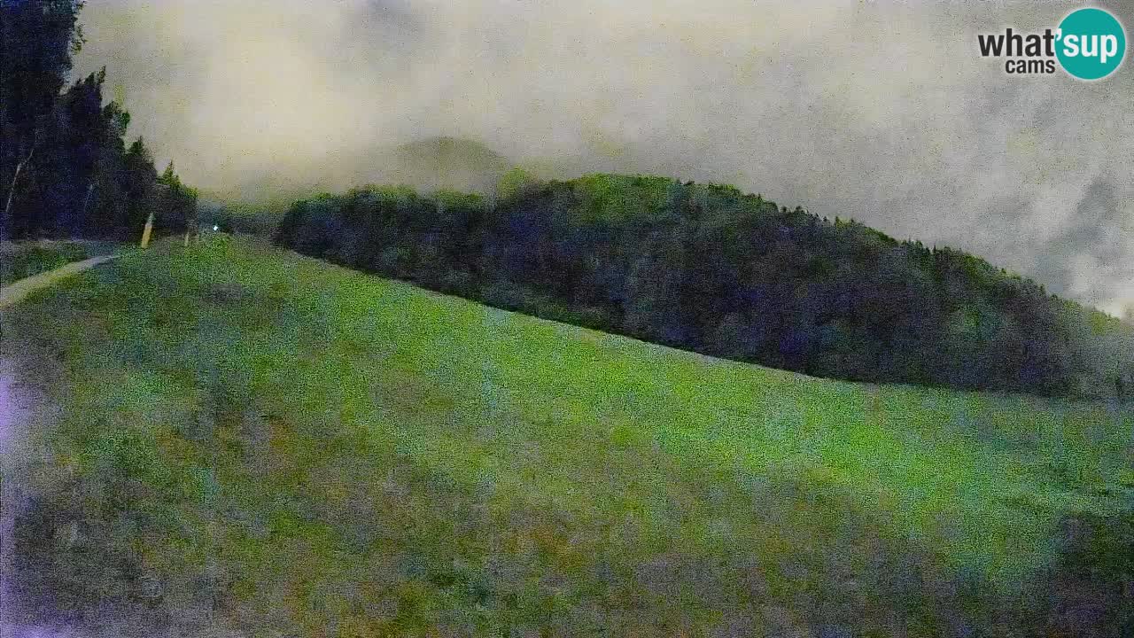 Esquí Kranjska Gora | Brsnina