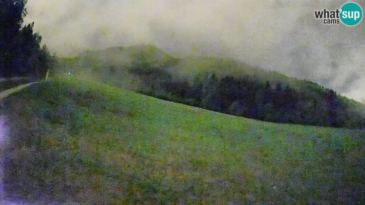 RTC Skigebiet Kranjska Gora | Brsnina