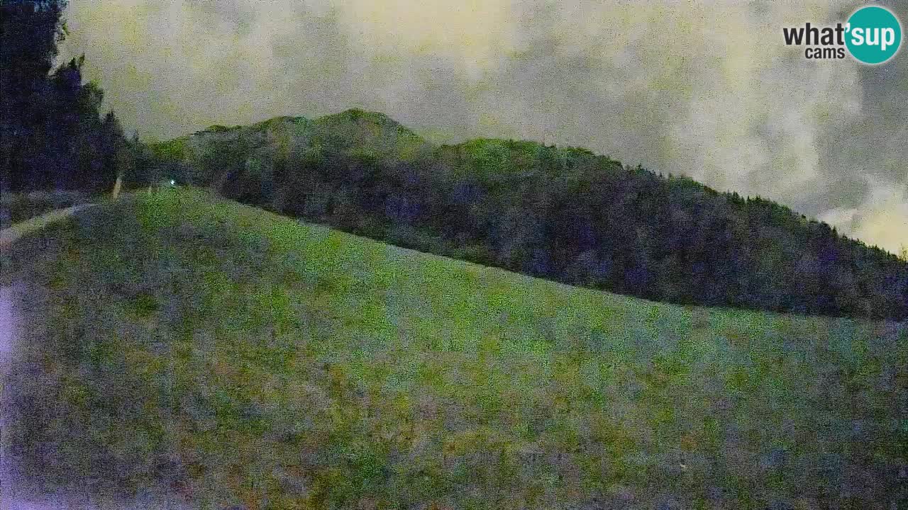 Comprensorio sciistico Kranjska Gora | Brsnina