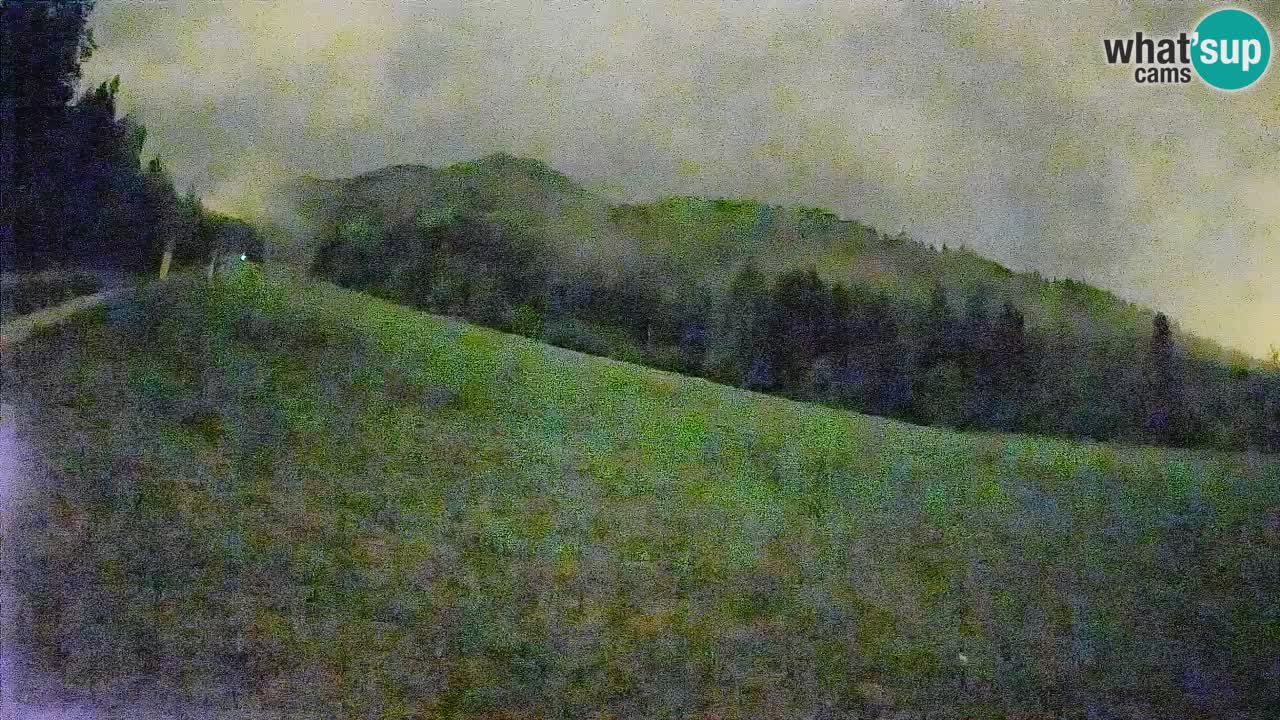 RTC Skigebiet Kranjska Gora | Brsnina