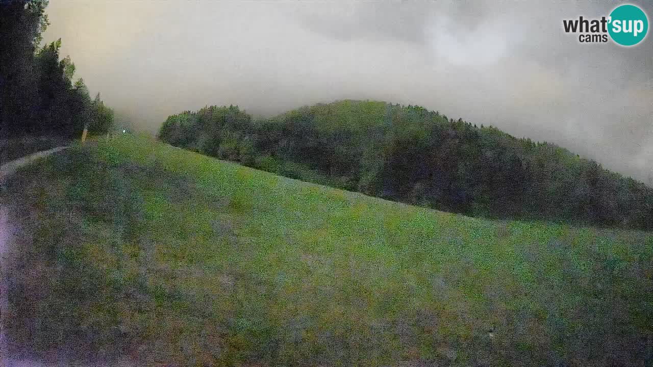 Ski Kranjska Gora | Brsnina