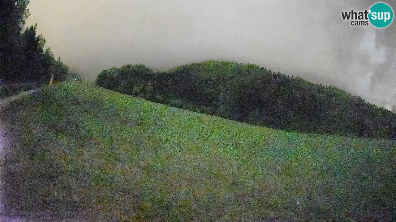 Esquí Kranjska Gora | Brsnina