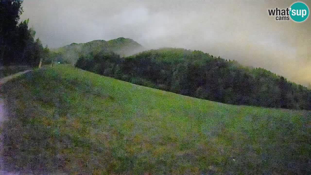 Ski Kranjska Gora | Brsnina