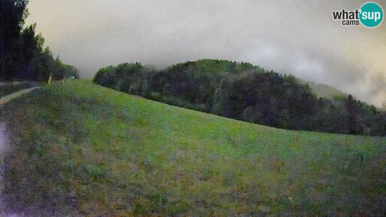 RTC Skigebiet Kranjska Gora | Brsnina