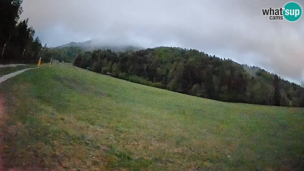 RTC Skigebiet Kranjska Gora | Brsnina