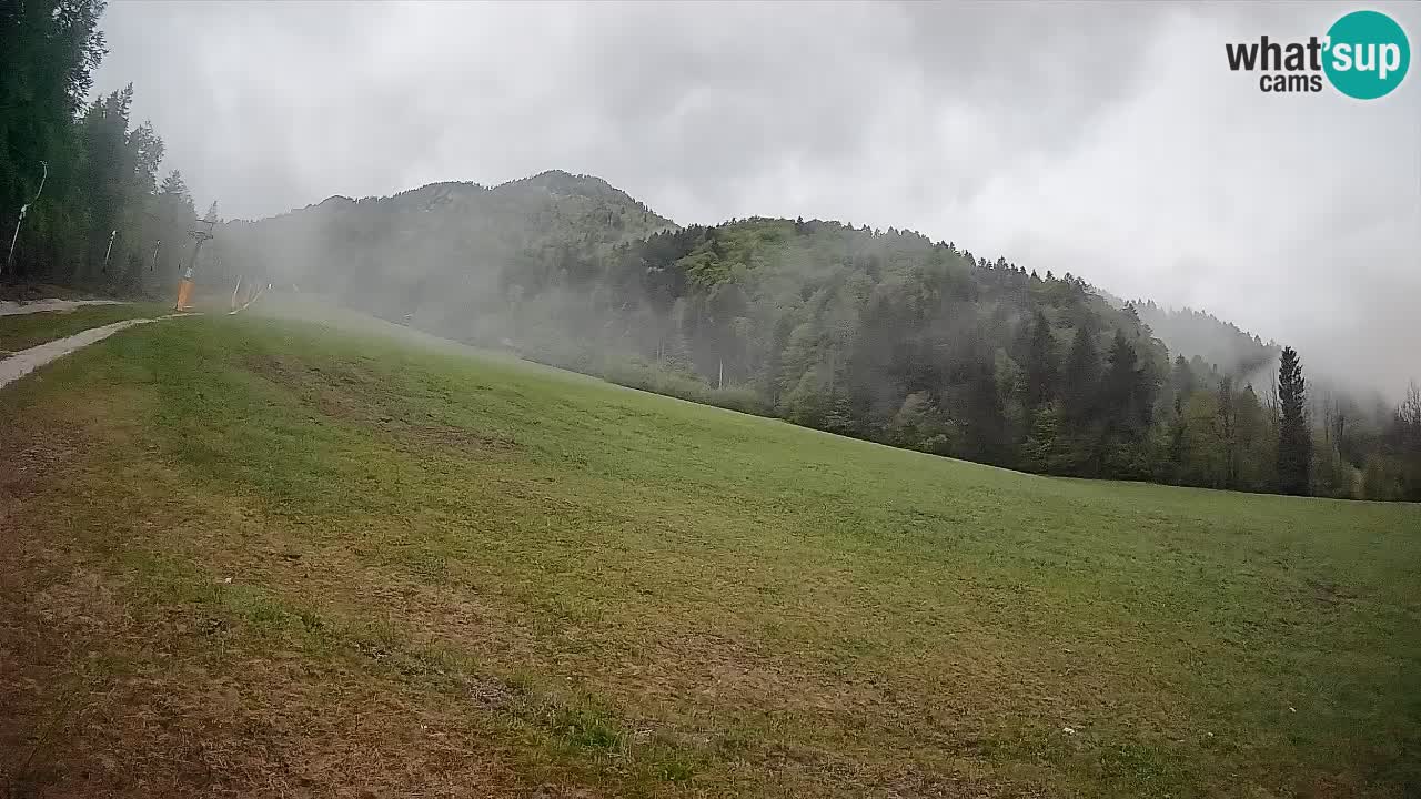 Kranjska Gora Station de ski | Brsnina