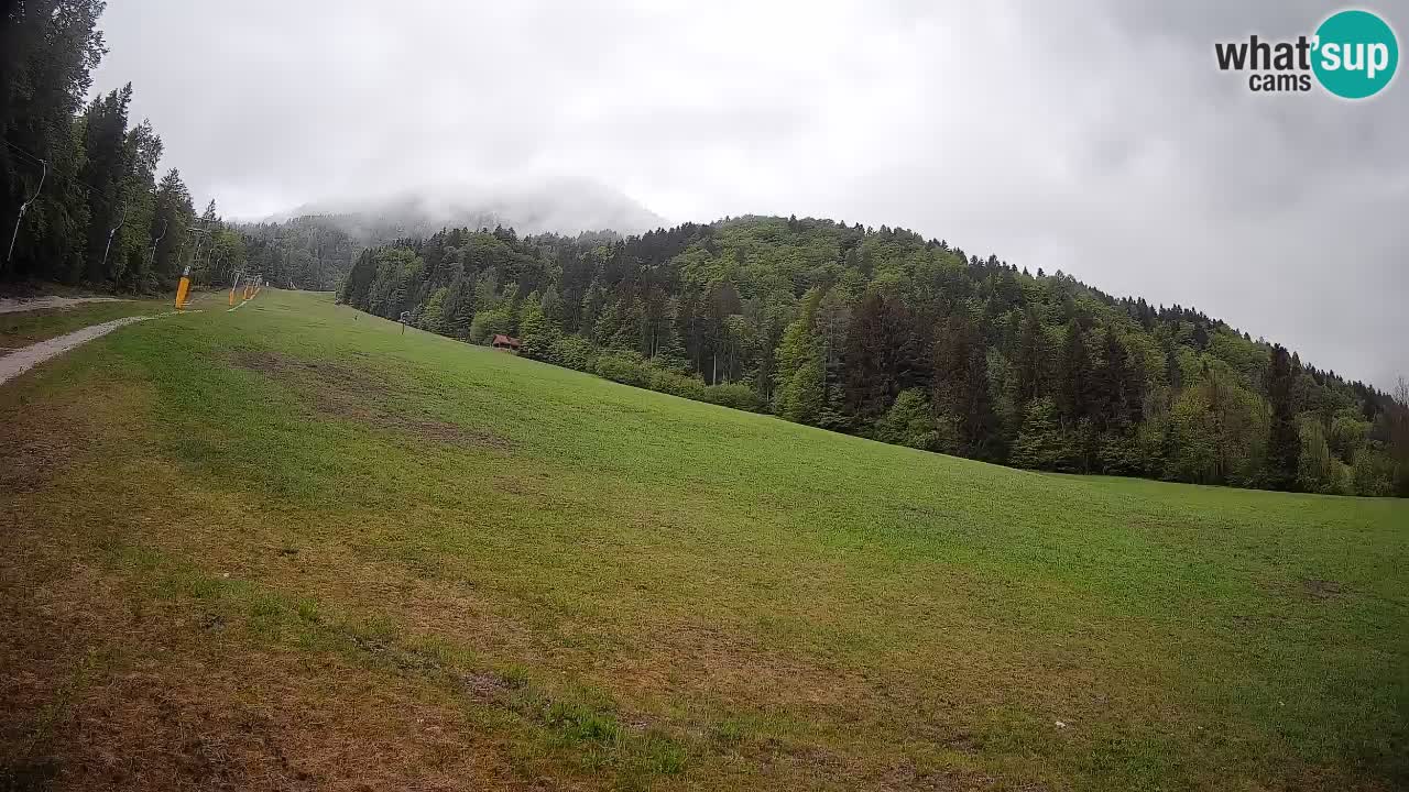 Kranjska Gora Station de ski | Brsnina