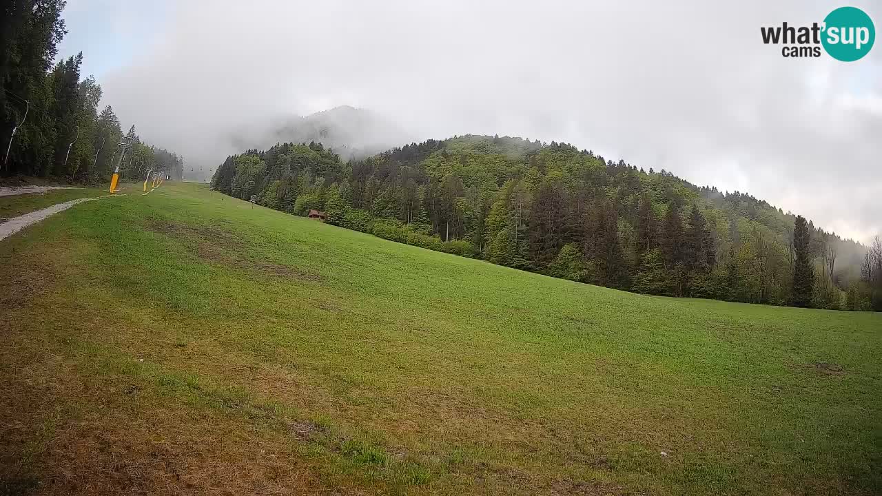 Kranjska Gora SKIJANJE | Brsnina
