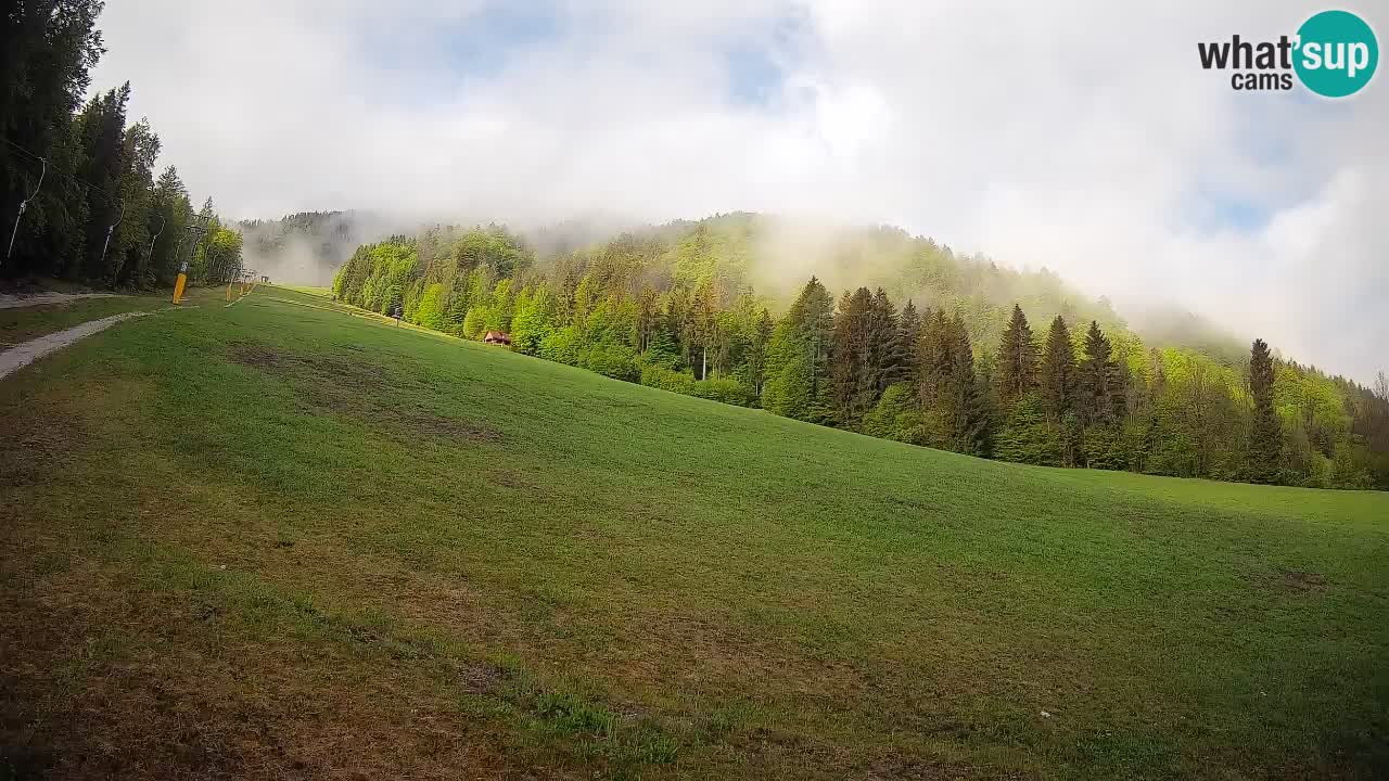 Comprensorio sciistico Kranjska Gora | Brsnina