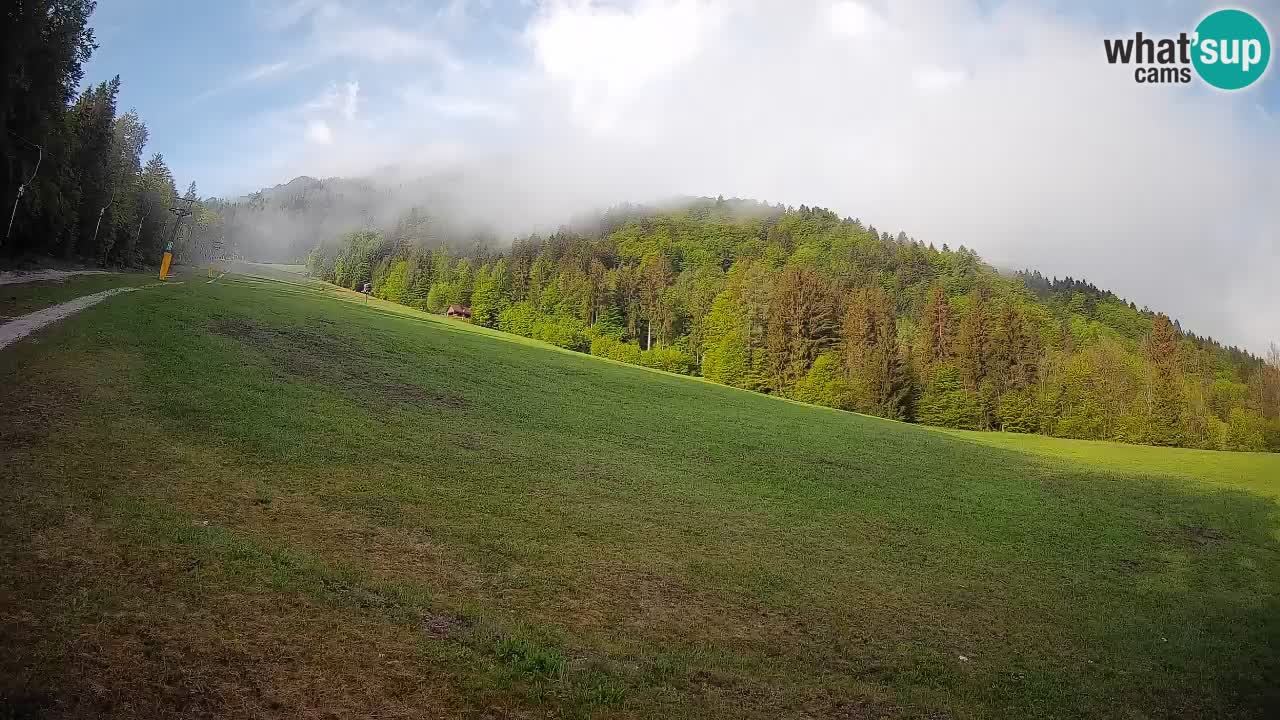 RTC Kranjska Gora | Brsnina