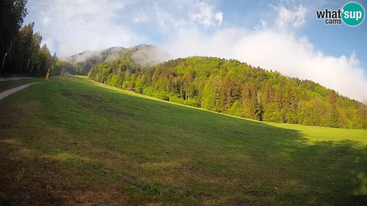Ski Kranjska Gora | Brsnina