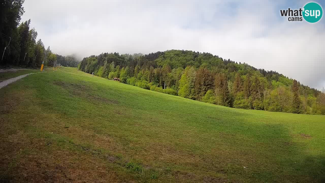 Kranjska Gora SKIJANJE | Brsnina