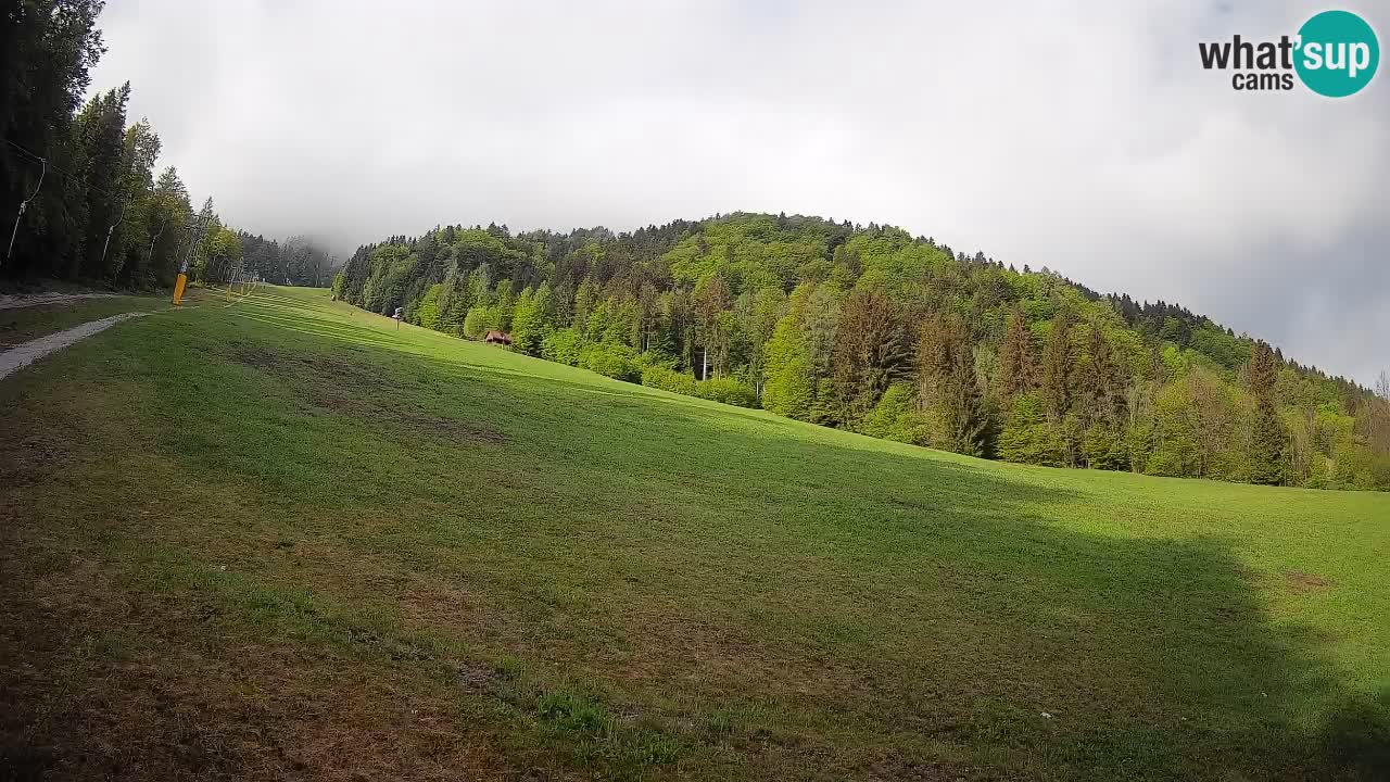 Kranjska Gora Station de ski | Brsnina