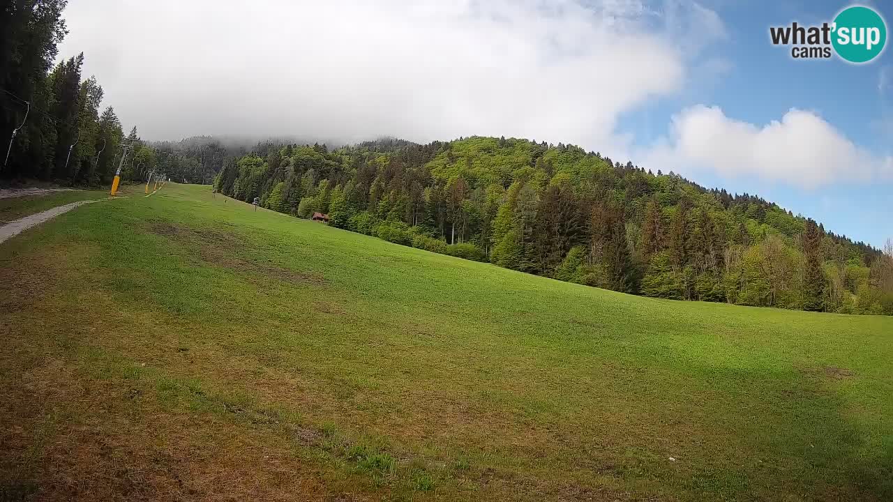 RTC Kranjska Gora | Brsnina
