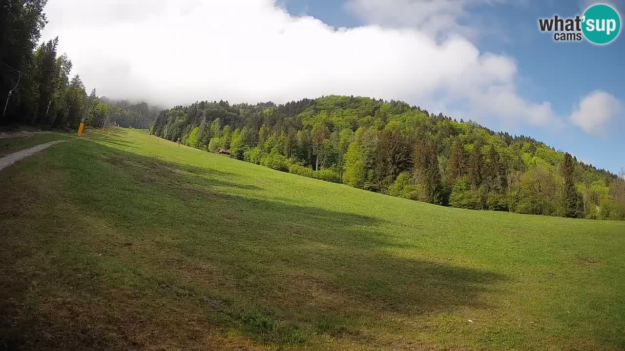 Ski Kranjska Gora | Brsnina