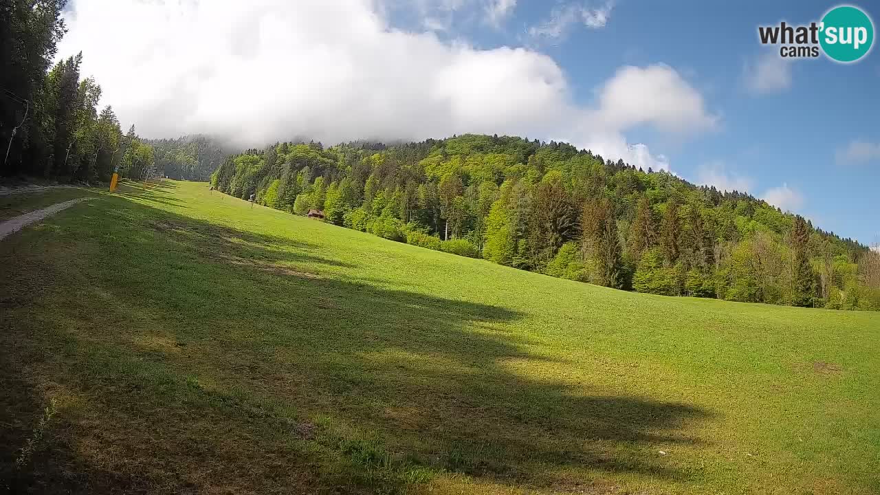 RTC Kranjska Gora | Brsnina