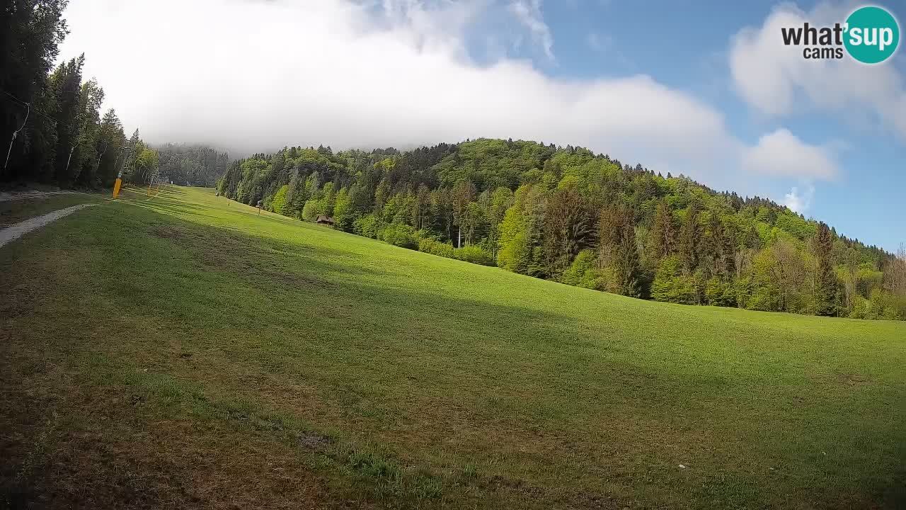 Ski Kranjska Gora | Brsnina