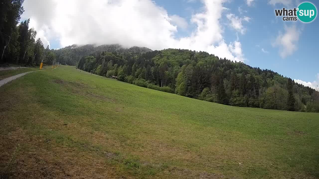 Ski Kranjska Gora | Brsnina