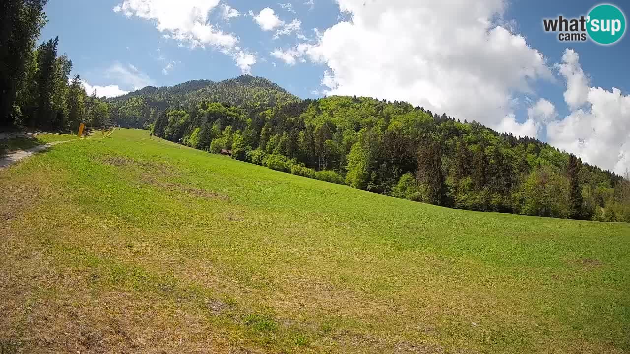 Esquí Kranjska Gora | Brsnina