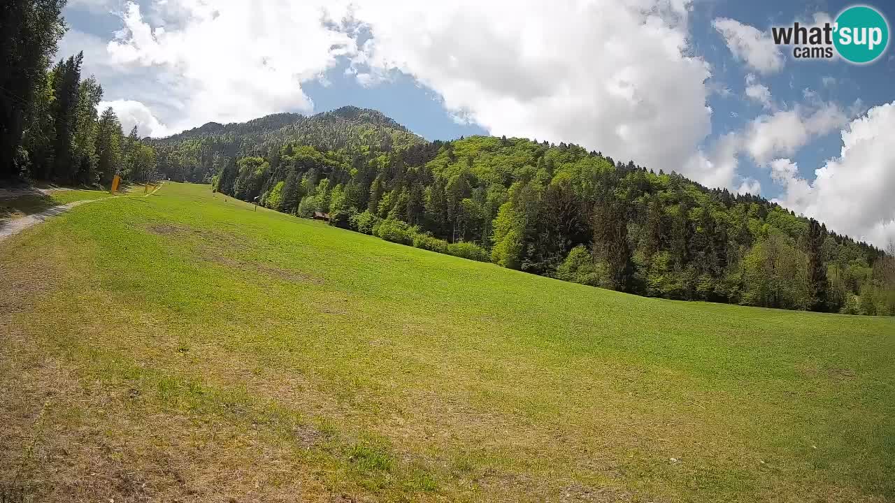 Kranjska Gora Station de ski | Brsnina