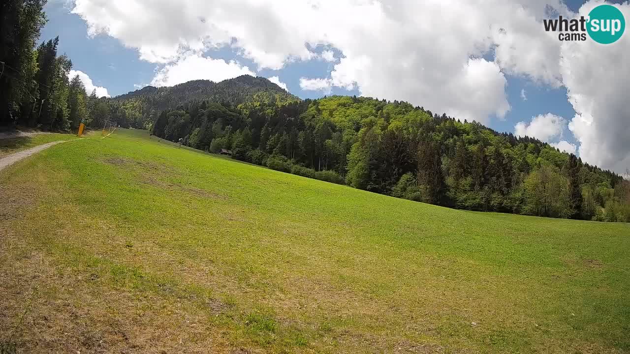 Kranjska Gora SKIJANJE | Brsnina
