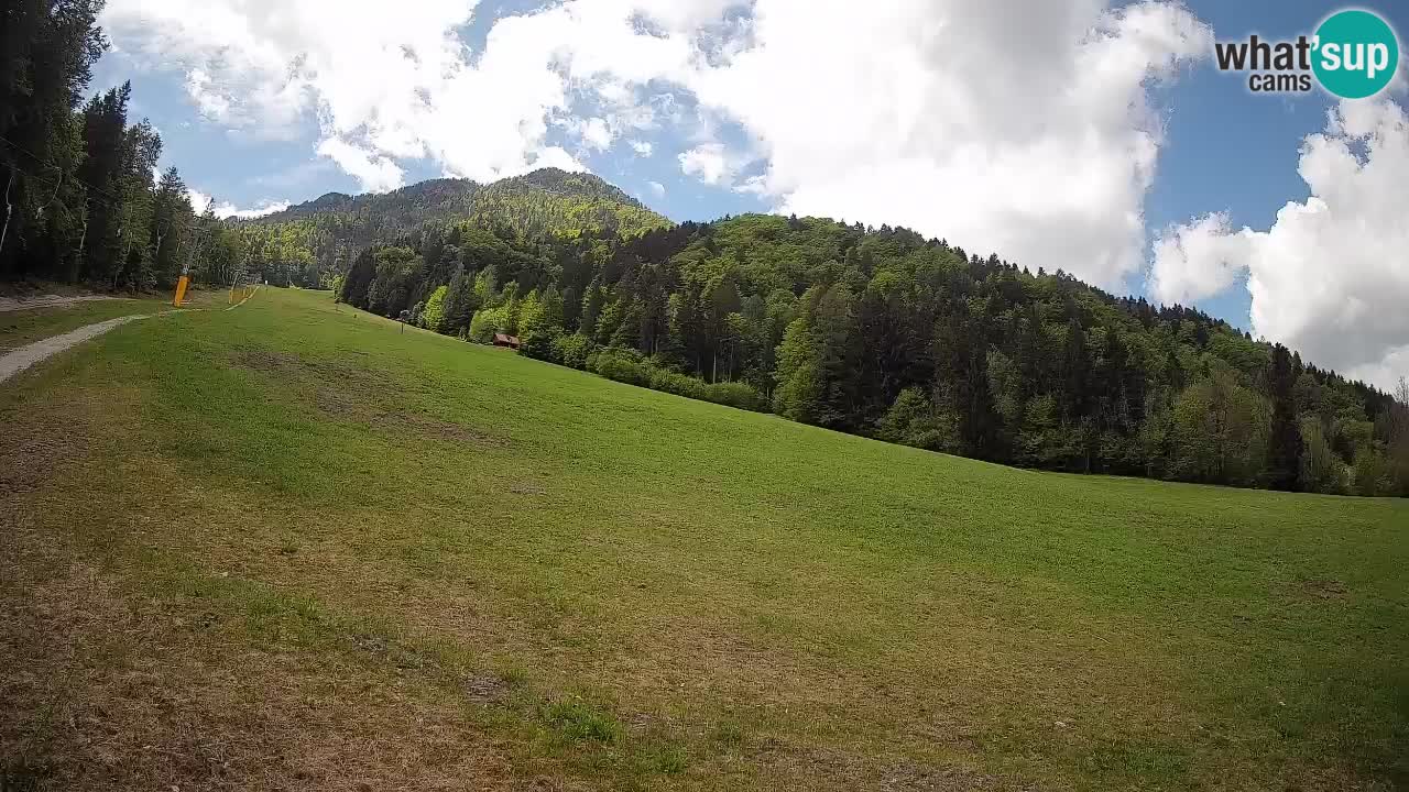 Comprensorio sciistico Kranjska Gora | Brsnina