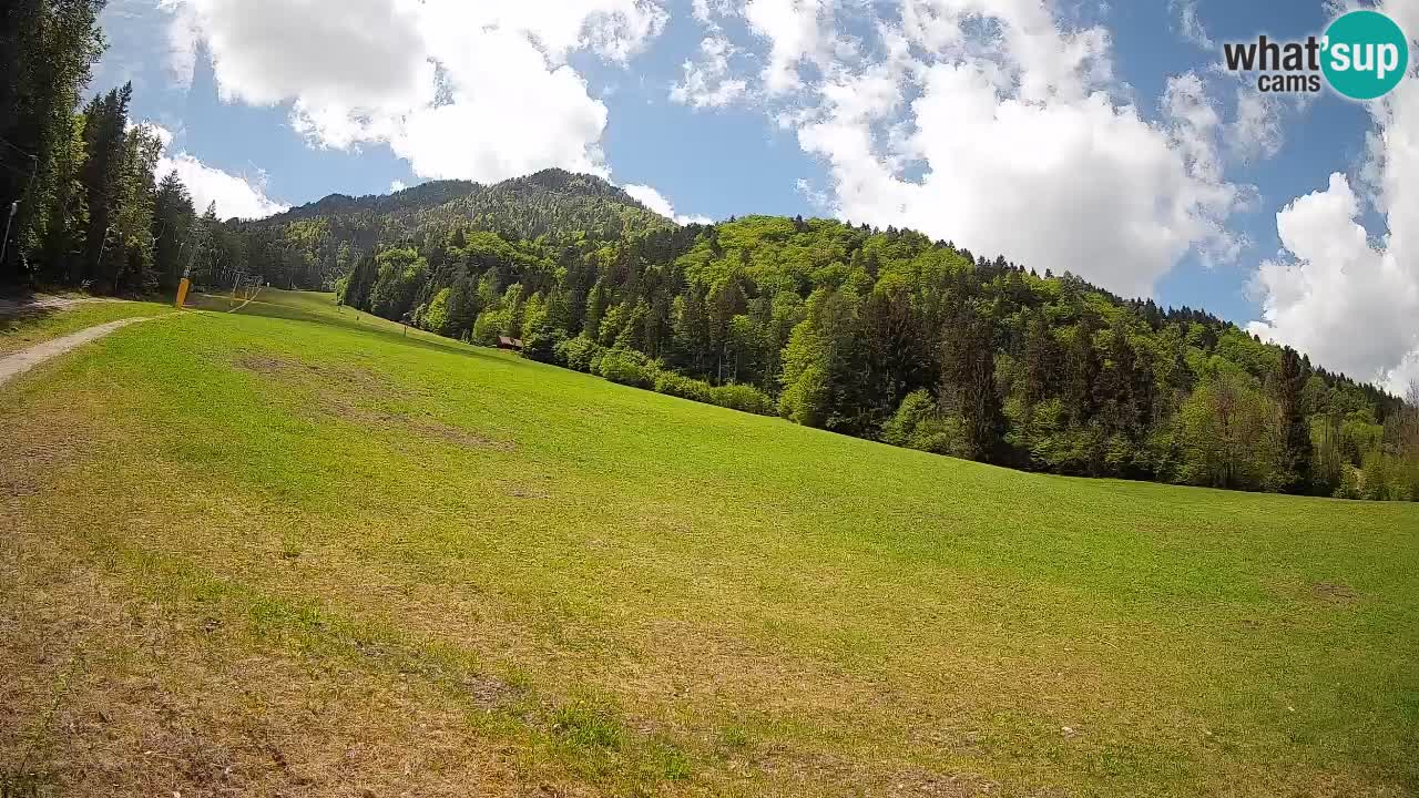 Kranjska Gora SKIJANJE | Brsnina