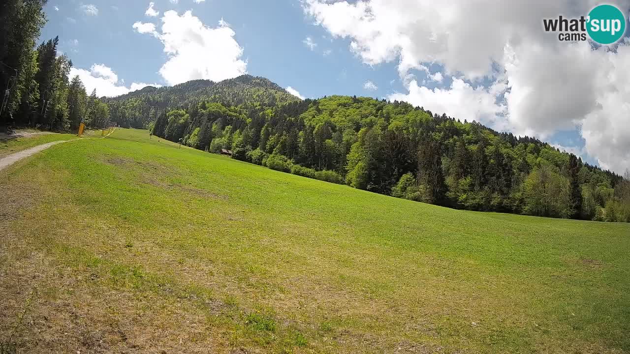 Esquí Kranjska Gora | Brsnina