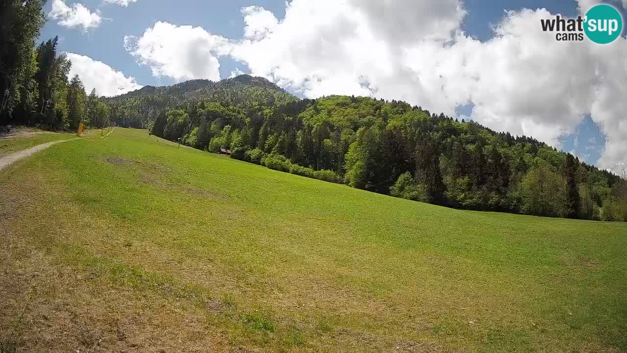Ski Kranjska Gora | Brsnina