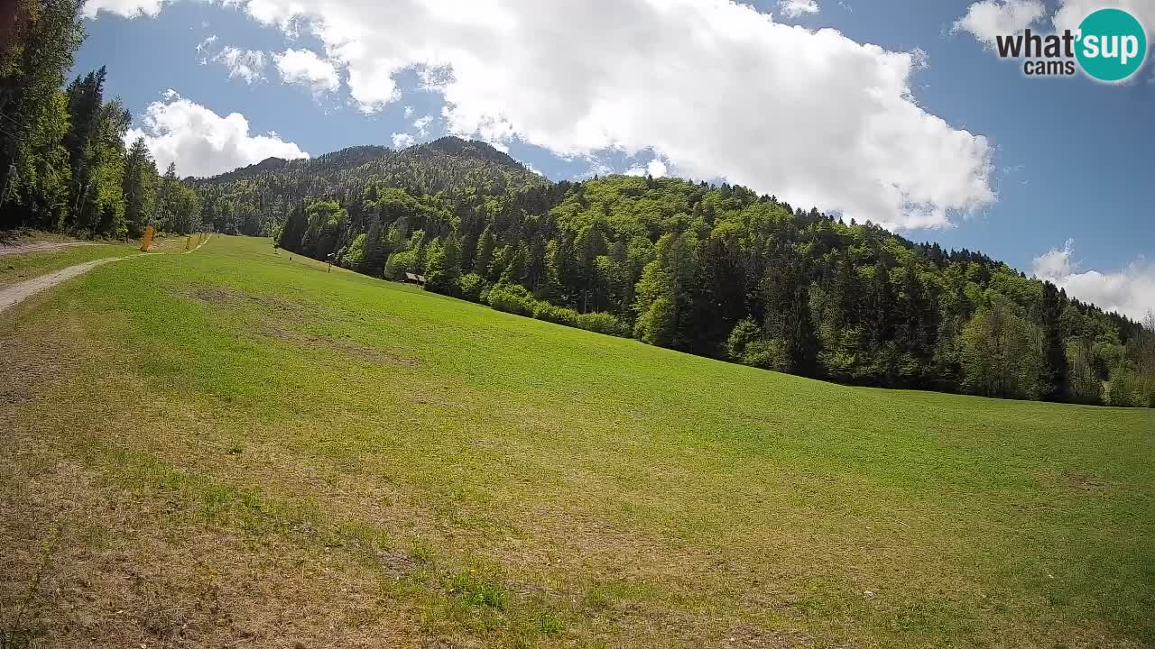Esquí Kranjska Gora | Brsnina