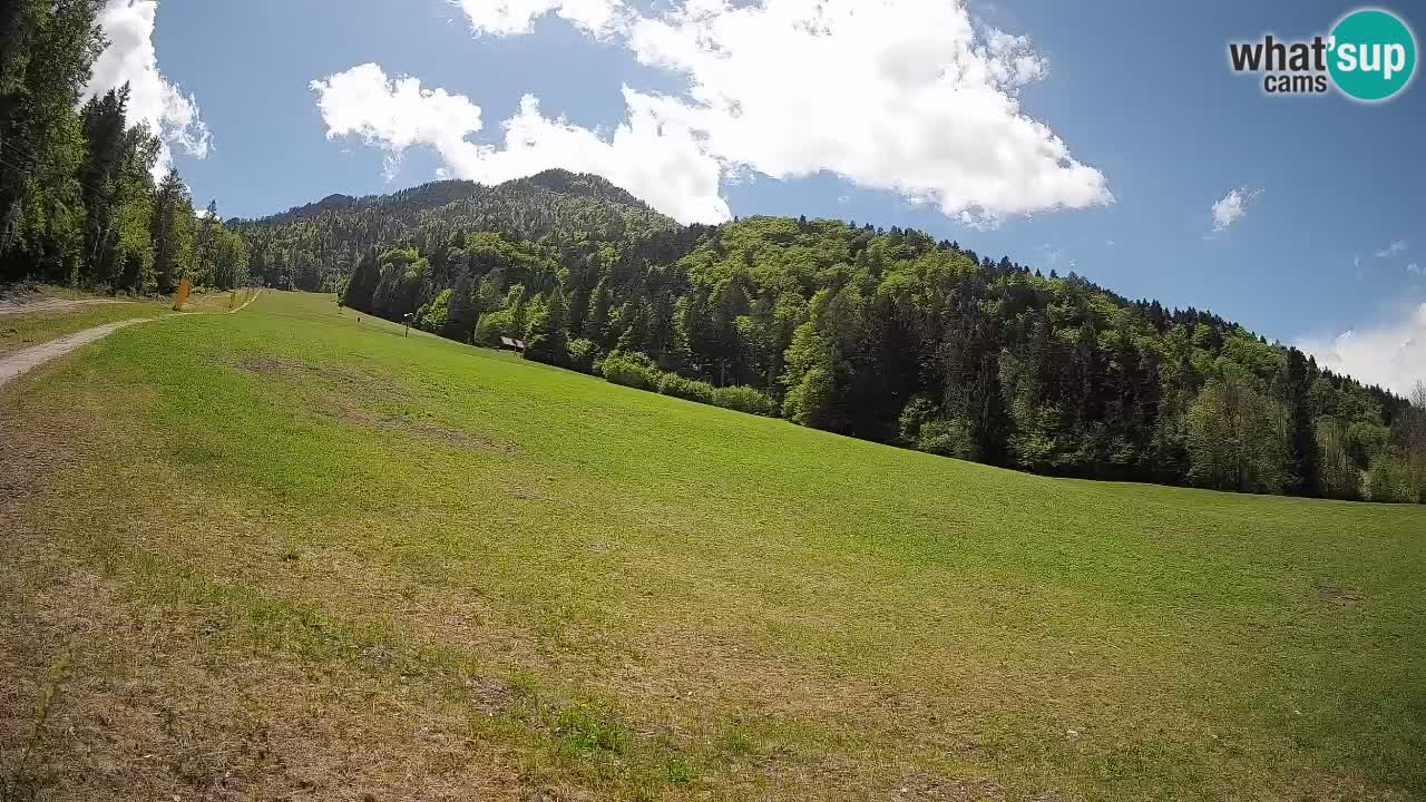 Kranjska Gora SKIJANJE | Brsnina