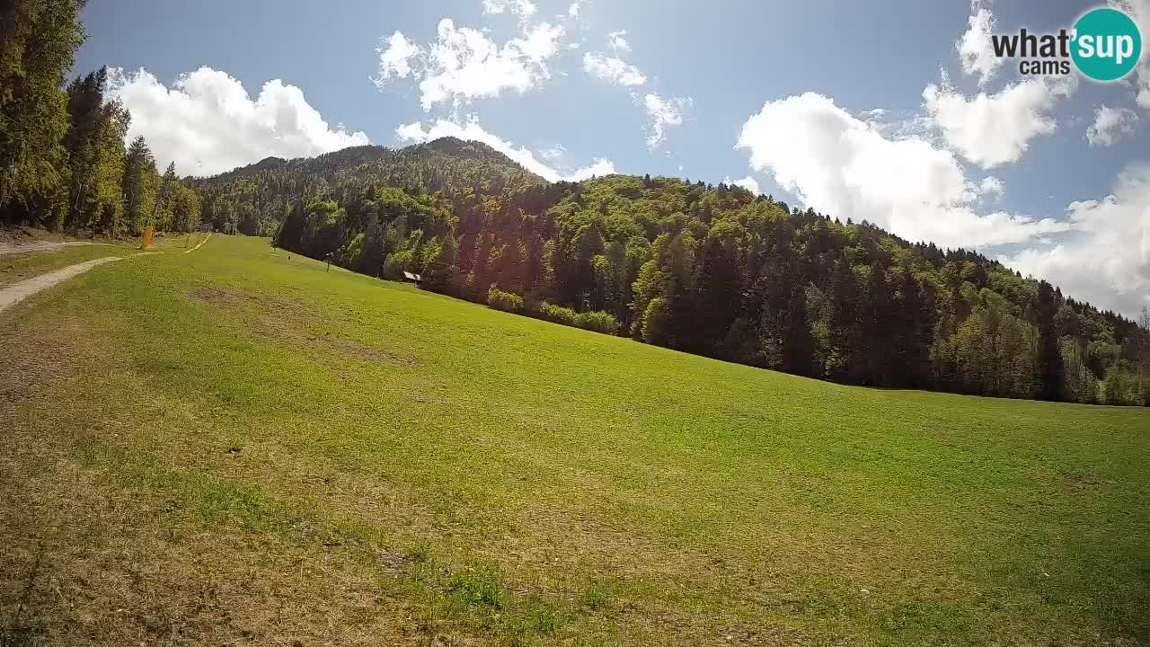 Kranjska Gora SKIJANJE | Brsnina