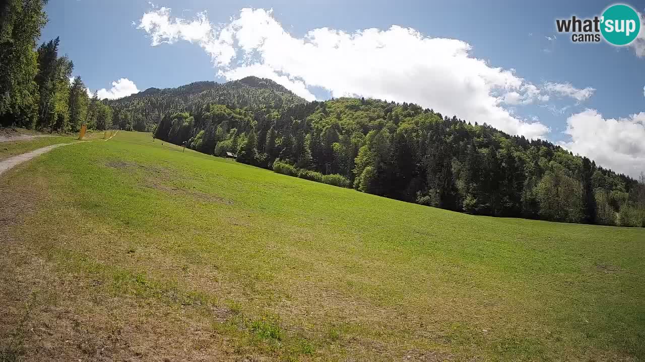 Kranjska Gora SKIJANJE | Brsnina