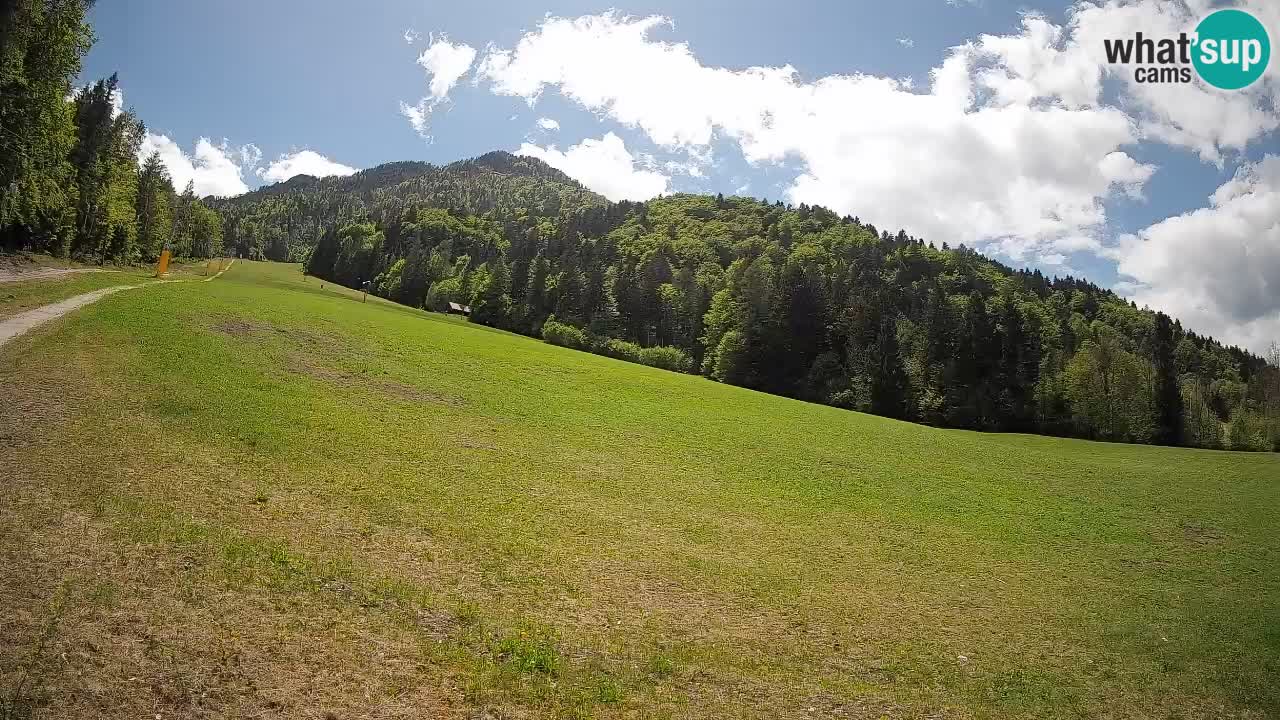 RTC Kranjska Gora | Brsnina