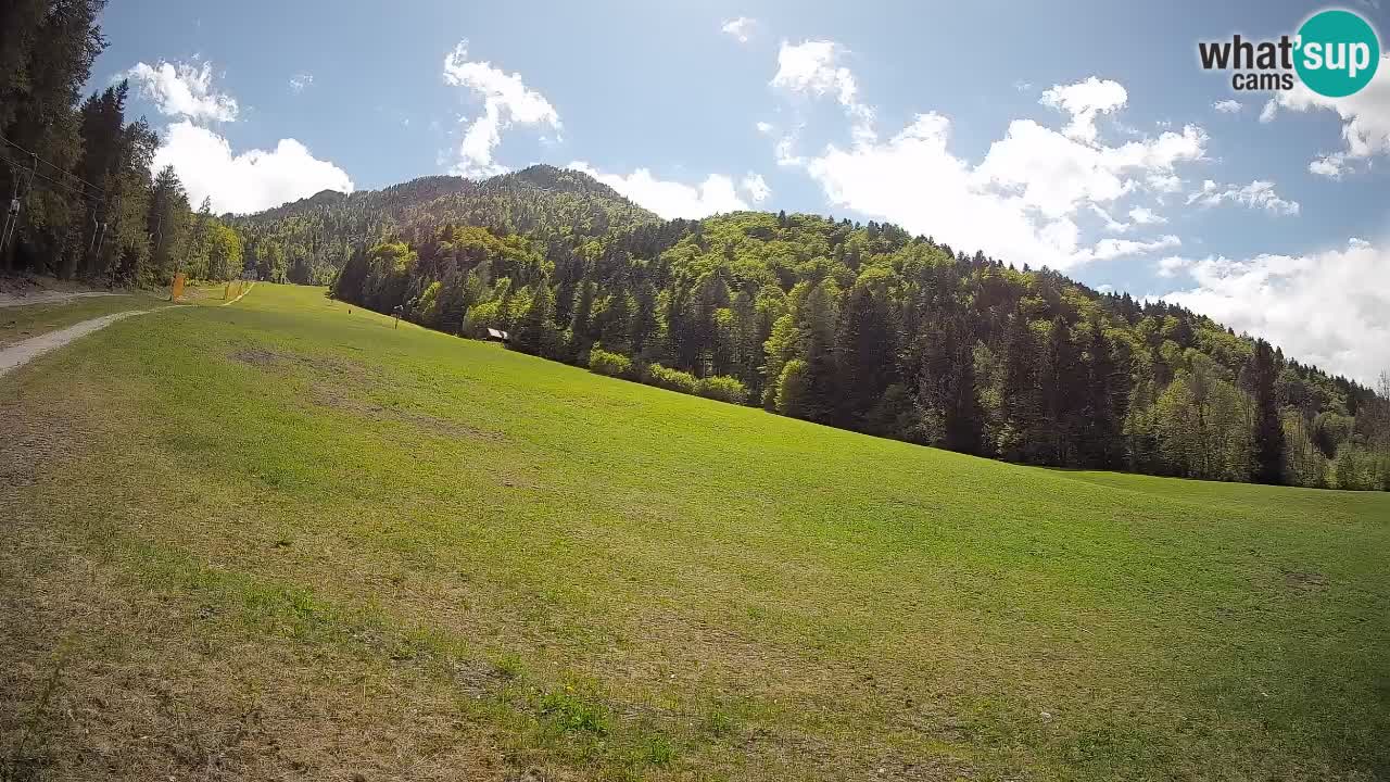 RTC Kranjska Gora | Brsnina