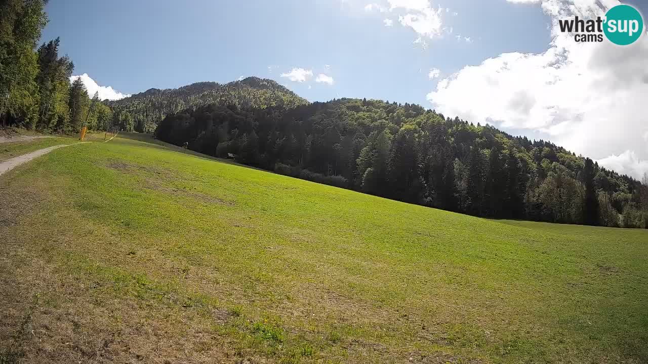 Kranjska Gora SKIJANJE | Brsnina
